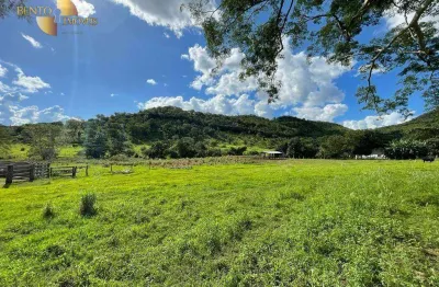 Fazenda à venda, 6120000 m² por r$ 8.000.000 - zona rural - santo antônio do leverger/mt