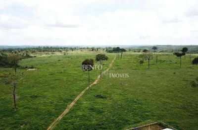 Fazenda à venda, 42700000 m² por r$ 120.000.000,00 - zona rural - nova monte verde/mt