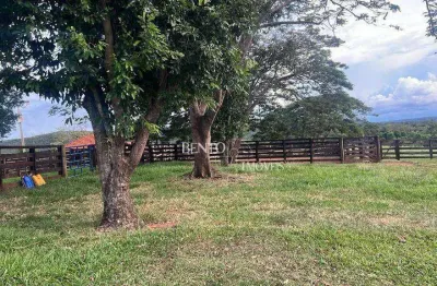 Fazenda à venda na Avenida Manoel Afonso Cancela, Zona Rural, Ituiutaba