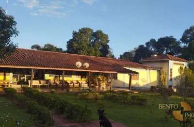 Fazenda à venda na Zona Rural, Paraíso do Tocantins 