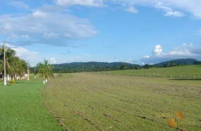 Fazenda à venda na Zona Rural, Rondolândia 