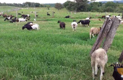 Fazenda à venda na Zona Rural, Dom Aquino 