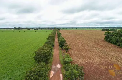 Fazenda à venda em Zona Rural, Goiás 