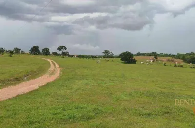 Fazenda à venda na Zona Rural, Planalto da Serra 