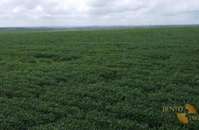 Fazenda à venda na Rua Zacarias Barros, Área Rural de Araguaína, Araguaína
