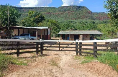 Fazenda à venda, 9120000 m² por r$ 13.700.000 - 256 - tesouro/mt