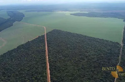 Fazenda à venda na Zona Rural, Nova Ubiratã 