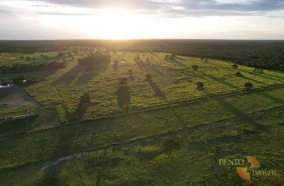 Fazenda com 1 sala à venda na Rodovia BR-364, Área Rural de Rondonópolis, Rondonópolis