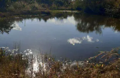 Fazenda à venda, 2050000 m² por r$ 3.500.000,00 - zona rural - nova brasilândia/mt