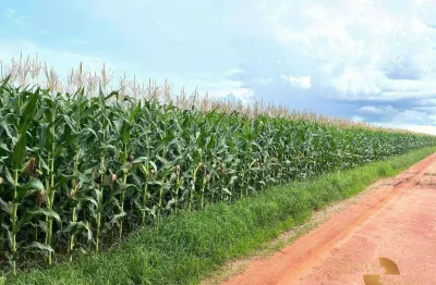 Fazenda à venda na Zona Rural, Ipiranga do Norte 