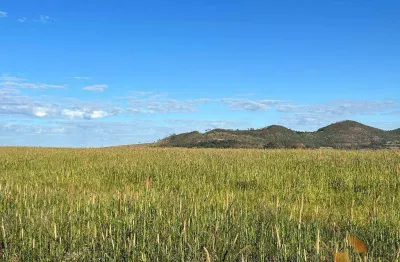 Fazenda à venda, 110400000 m² por r$ 150.000.000 - zona rural - caiaponia/go