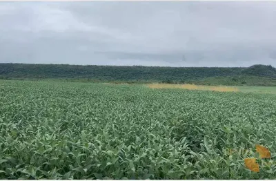 Fazenda para alugar, 35000000 m² por r$ 1.690/mês - zona rural - alta floresta/mt