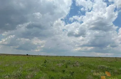 Fazenda à venda, 8090000 m² por r$ 36.549.500,00 - zona rural - jaciara/mt