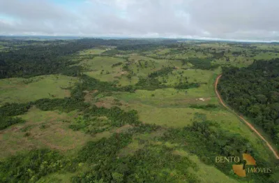 Fazenda à venda, 16455000 m² por r$ 15.000.000 - zona rural - juina/mt