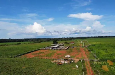 Fazenda à venda, 5620000 m² por r$ 18.000.000 - zona rural - juina/mt