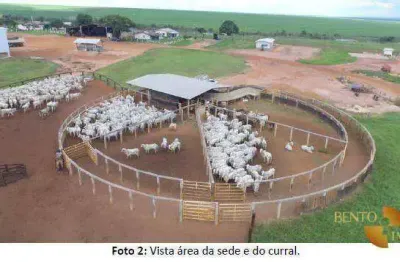 Fazenda à venda na Zona Rural, Campo Verde 
