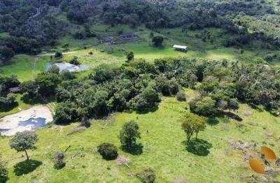 Fazenda à venda, 2150000 m² por r$ 4.500.000,00 - zona rural - santo antônio do leverger/mt