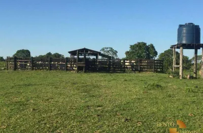 Fazenda à venda, 3610000 m² por r$ 5.200.000,00 - zona rural - nossa senhora do livramento/mt