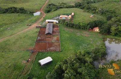 Fazenda à venda no Setor Central, Ananás 
