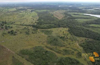 Fazenda à venda, 27600000 m² por r$ 50.000.000 - zona rural - cáceres/mt
