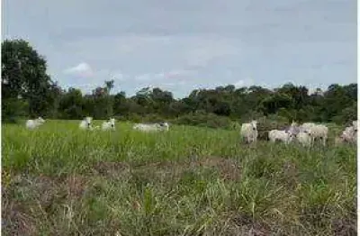 Fazenda à venda, 9830000 m² por r$ 6.000.000 - zona rural - itiquira/mt