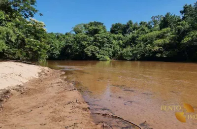 Fazenda à venda na Zona Rural, Ribeirãozinho 