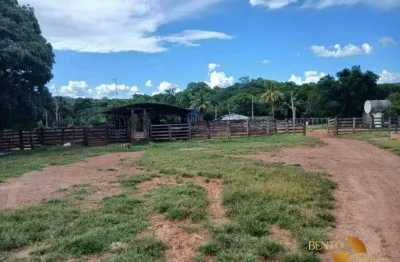Fazenda à venda na Zona Rural, Torixoréu 
