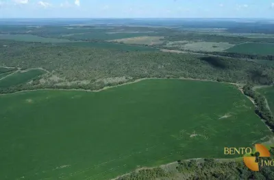 Fazenda à venda na Zona Rural, Campinápolis 