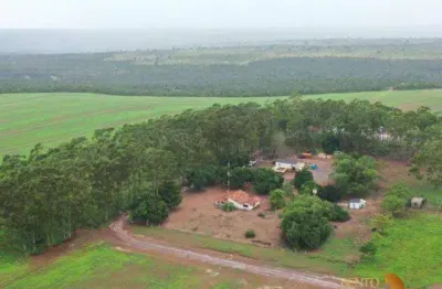 Fazenda à venda no Centro, Nova Xavantina 