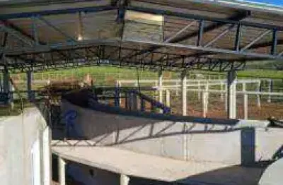 Fazenda à venda, 19400000 m² por r$ 90.000.000 - zona rural - rondonópolis/mt