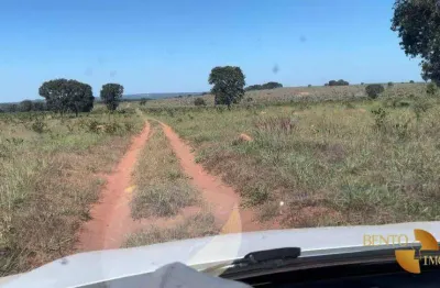 Fazenda à venda na Zona Rural, Tesouro 