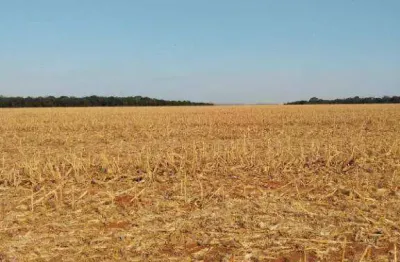 Fazenda à venda na Zona Rural, São José do Rio Claro 