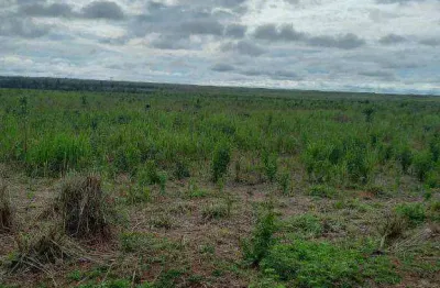 Fazenda à venda, 88000000 m² por r$ 250.000.000 - zona rural - paranatinga/mt