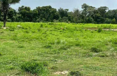Fazenda à venda, 27200000 m² por r$ 35.000.000 - zona rural - barão de melgaço/mt