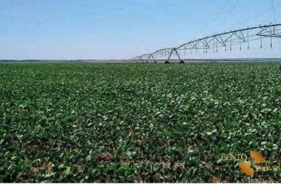 Fazenda à venda, 77940000 m² por r$ 350.000.000 - zona rural - jaborandi/ba