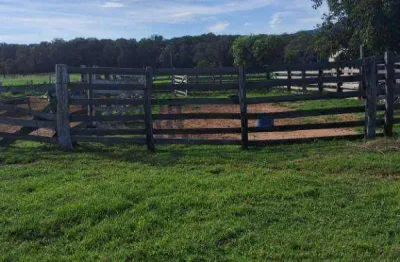 Sítio com 4 dormitórios à venda, 250000 m² por r$ 750.000 - zona rural - santo antônio do leverger/mt