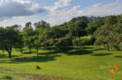 Sítio com 2 dormitórios à venda, 145000 m² por r$ 400.000,00 - centro - barão de melgaço/mt