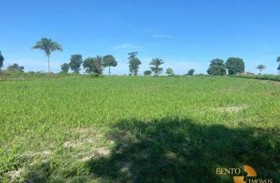Fazenda à venda, 12100000 m² por r$ 22.000.000 - zona rural - vila rica/mt