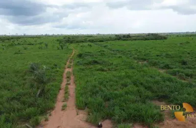 Fazenda à venda, 11500000 m² por r$ 21.100.000,00 - zona rural - porto dos gaúchos/mt