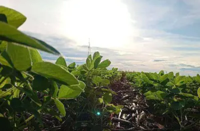 Fazenda à venda, 5600000 m² por r$ 33.000.000 - zona rural - são josé do rio claro/mt