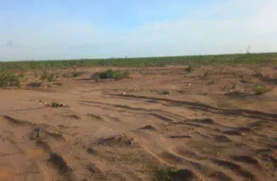 Fazenda à venda, 157260000 m² por r$ 170.000.000 - agrovila nova santa rosa - uruçuí/pi