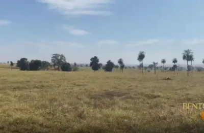 Fazenda à venda, 3070000 m² por r$ 18.000.000 - zona rural - pedra preta/mt