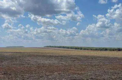 Fazenda para alugar, 6300000 m² por r$ 1.380/mês - zona rural - nova mutum/mt