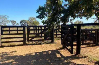 Fazenda com 2 dormitórios à venda, 5000000 m² por r$ 7.500.000 - zona rural - jangada/mt