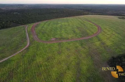 Fazenda à venda, 19260000 m² por r$ 34.000.000 - centro - lagoa da  confusão/to