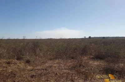 Fazenda para alugar, 15000000 m² por r$ 1.500/mês - zona rural - peixoto de azevedo/mt