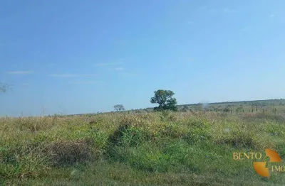 Fazenda com 2 dormitórios à venda, 3380000 m² por r$ 7.000.000 - micro dist anezio pereira de o - rondonópolis/mt
