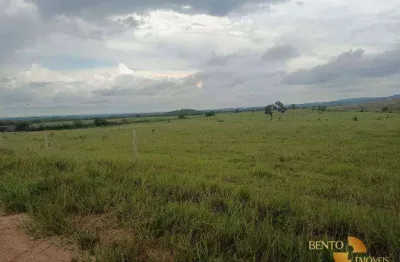 Fazenda à venda, 6020000 m² por r$ 12.000.000 - zona rural - nova brasilândia/mt