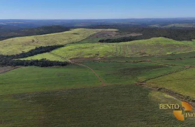 Fazenda com 3 dormitórios para alugar, 13490000 m² por r$ 1.725/mês - zona rural - primavera do leste/mt