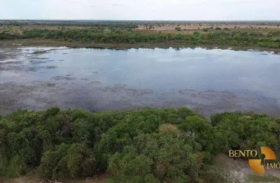 Fazenda para arrendamento, 50000000 m² por r$ 1.150/mês - zona rural - cocalinho/mt